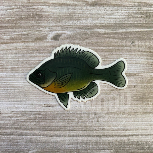 Lake Fish High Quality Vinyl Sticker